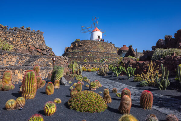 Jardín de Cactus