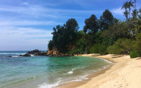 Where’s Hot in February?