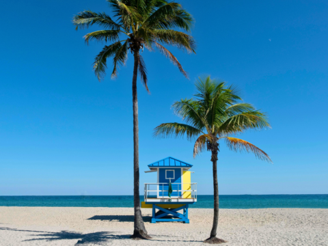 Where’s Hot in March?