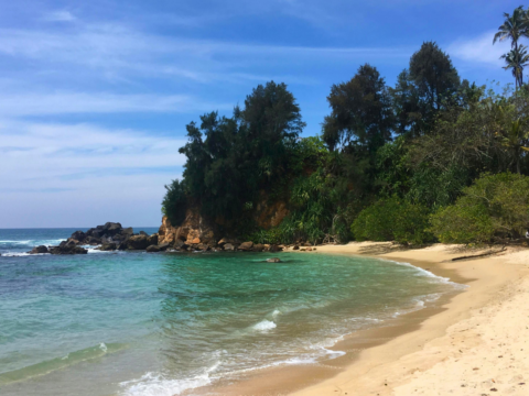 Where’s Hot in February?